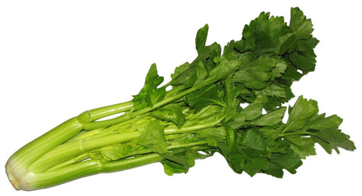 Celery per kg - MADPACIFIC